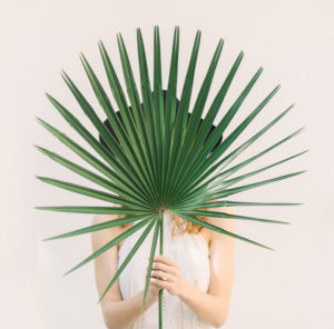 Schaufenster exklusiver Schmuckstücke › Goldschmiede Dürr